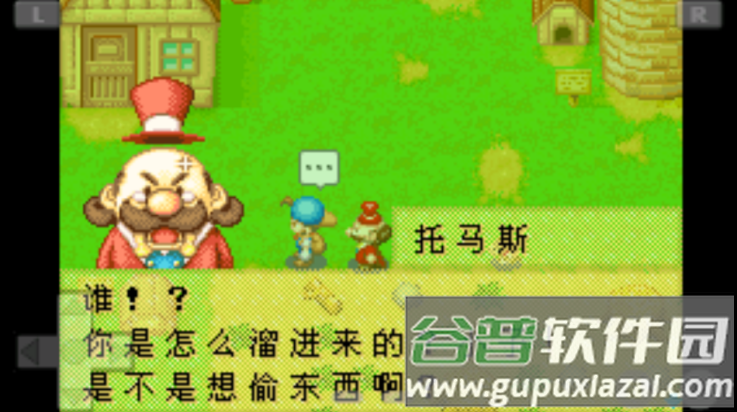 牧场物语矿石镇的伙伴们汉化版截图3