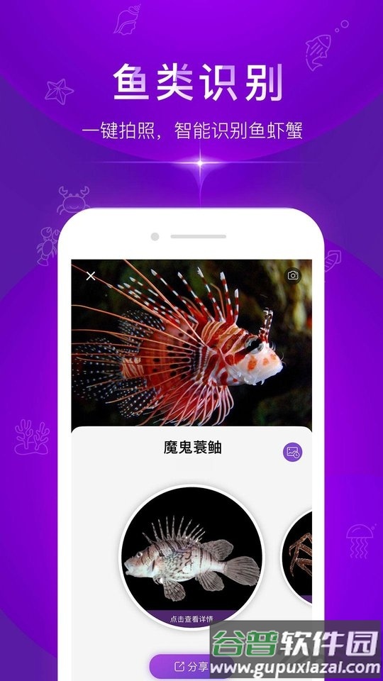 问鱼app(鱼类查询)截图1