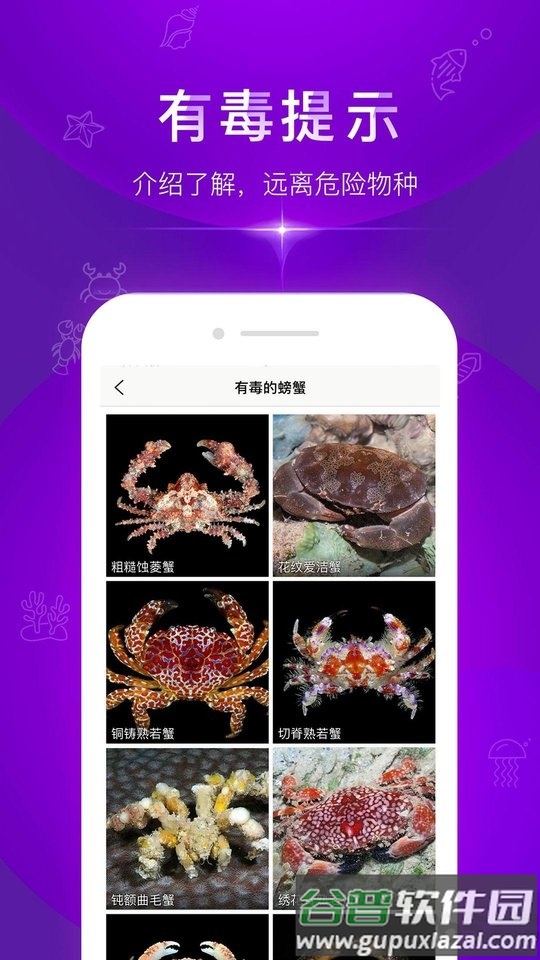 问鱼app(鱼类查询)截图2