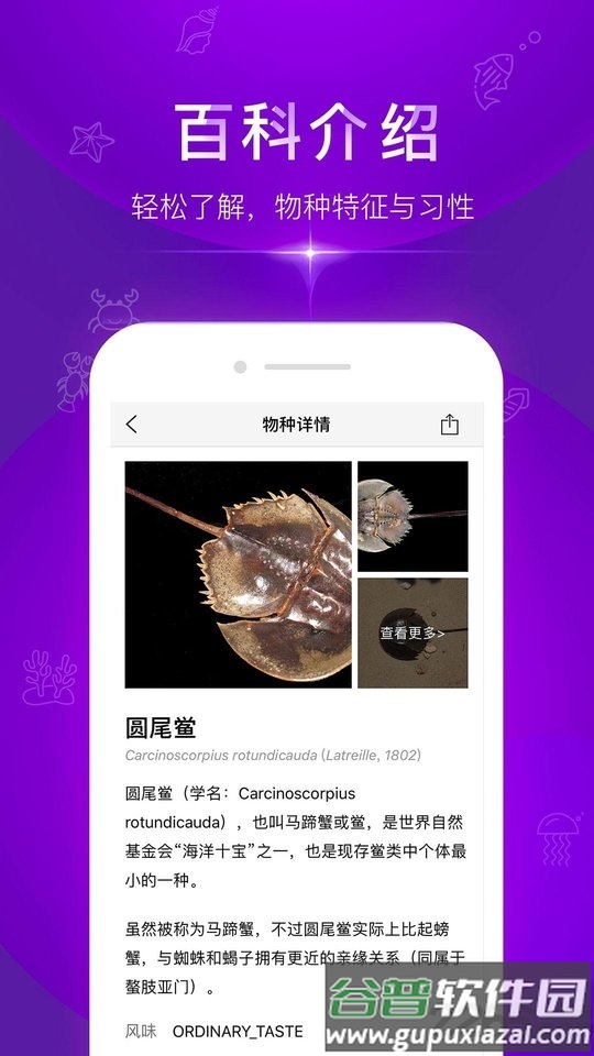 问鱼app(鱼类查询)截图4