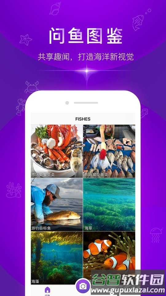 问鱼app(鱼类查询)截图5