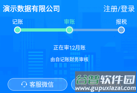 自记账app企业记账软件