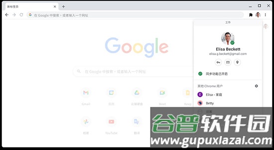 谷歌Chromium浏览器官方版
