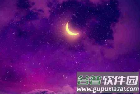 WallsPy（高清壁纸）破解版下载