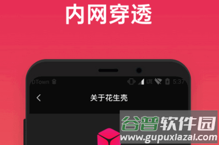 贝锐花生壳app最新版