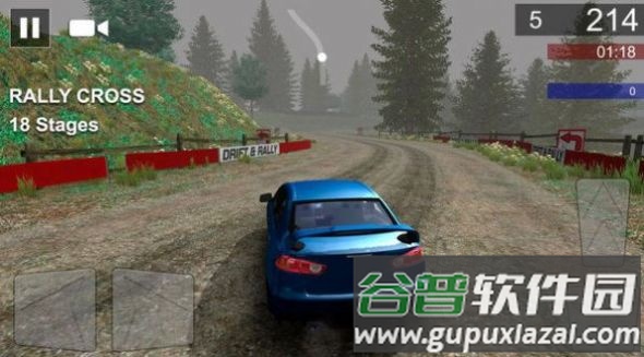 冠军拉力赛Rally Championship游戏截图1