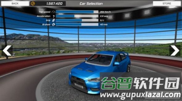 冠军拉力赛Rally Championship游戏截图3