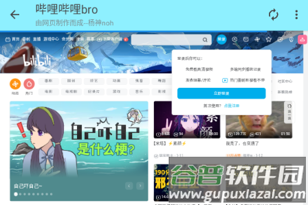 哔哩哔哩bro版