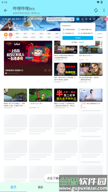 哔哩哔哩bro版