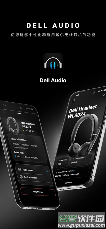 Dell Audio 软件