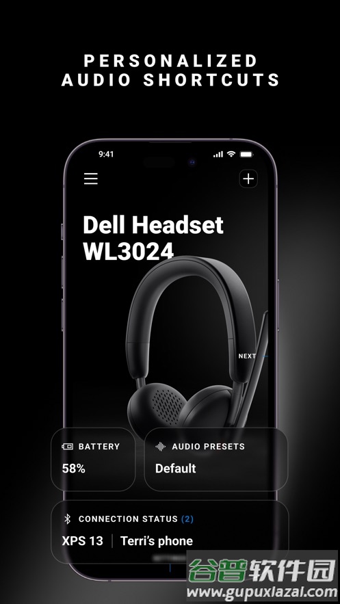 Dell Audio 软件截图1