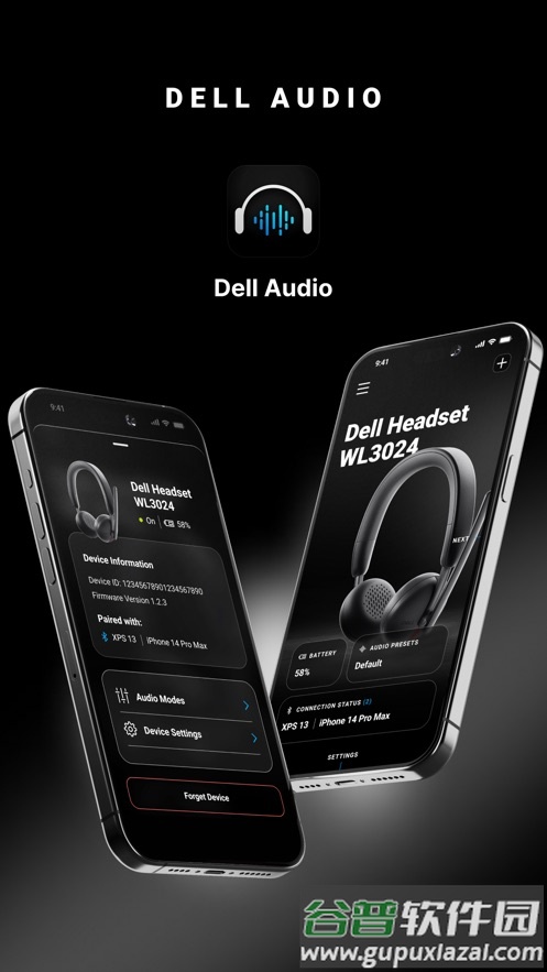 Dell Audio 软件截图2