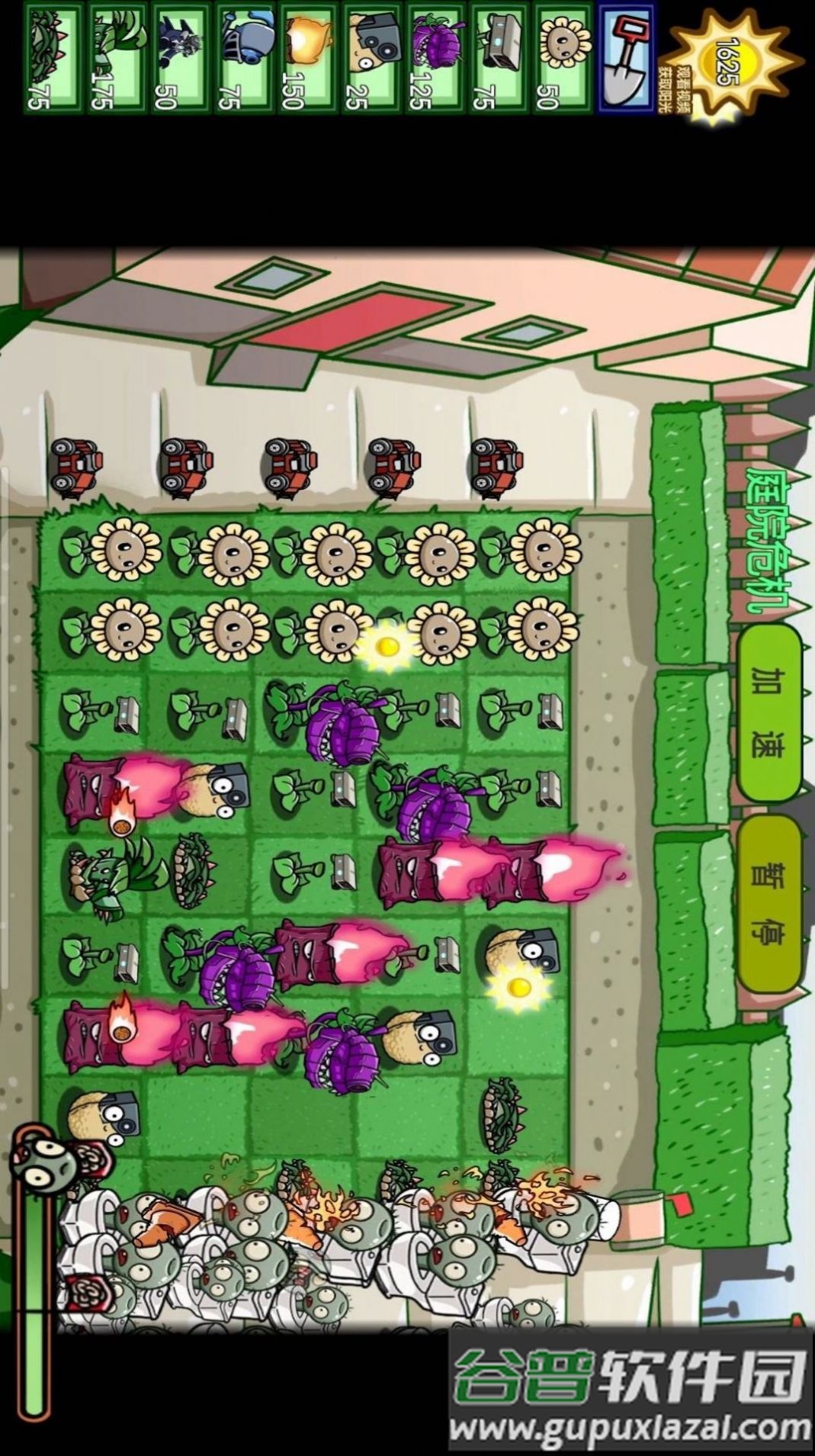 植物僵尸大对决游戏截图1
