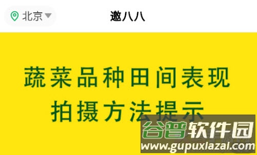 邀八八app 邀八八app