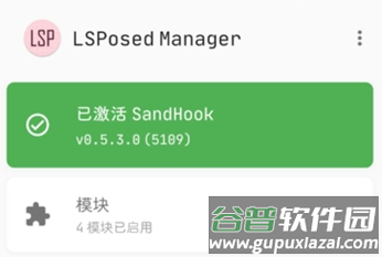LSPatch