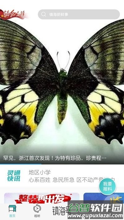 镇灵通app截图4