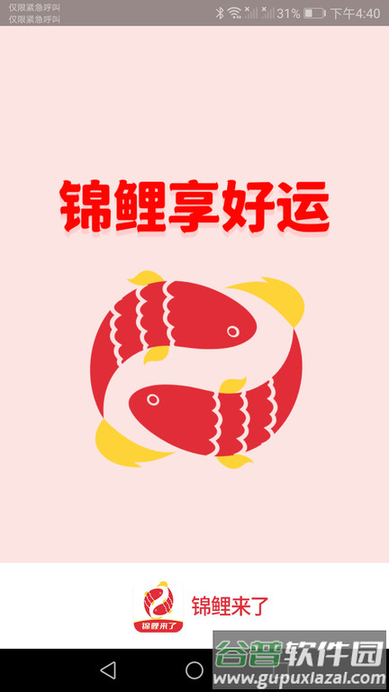 锦鲤来了app截图2