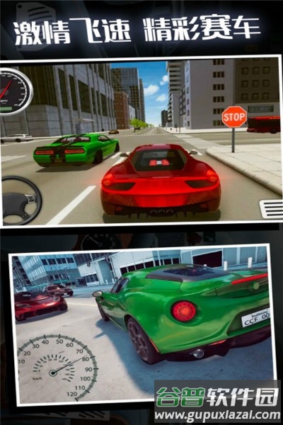疯狂赛车手下载
