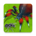 昆虫进化大乱斗v1.4