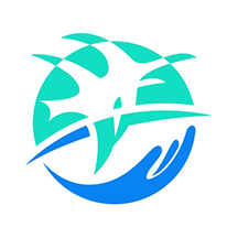 政通雄安app下载官方版v2.4.1