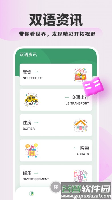银叶实时翻译软件(改名法语翻译)截图3