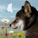 翌日波奇狗的历险记手机安卓版下载v1.0