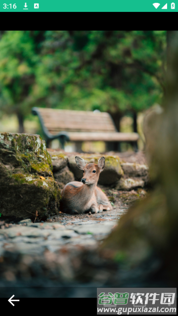 图片大师最新版 图片大师最新版