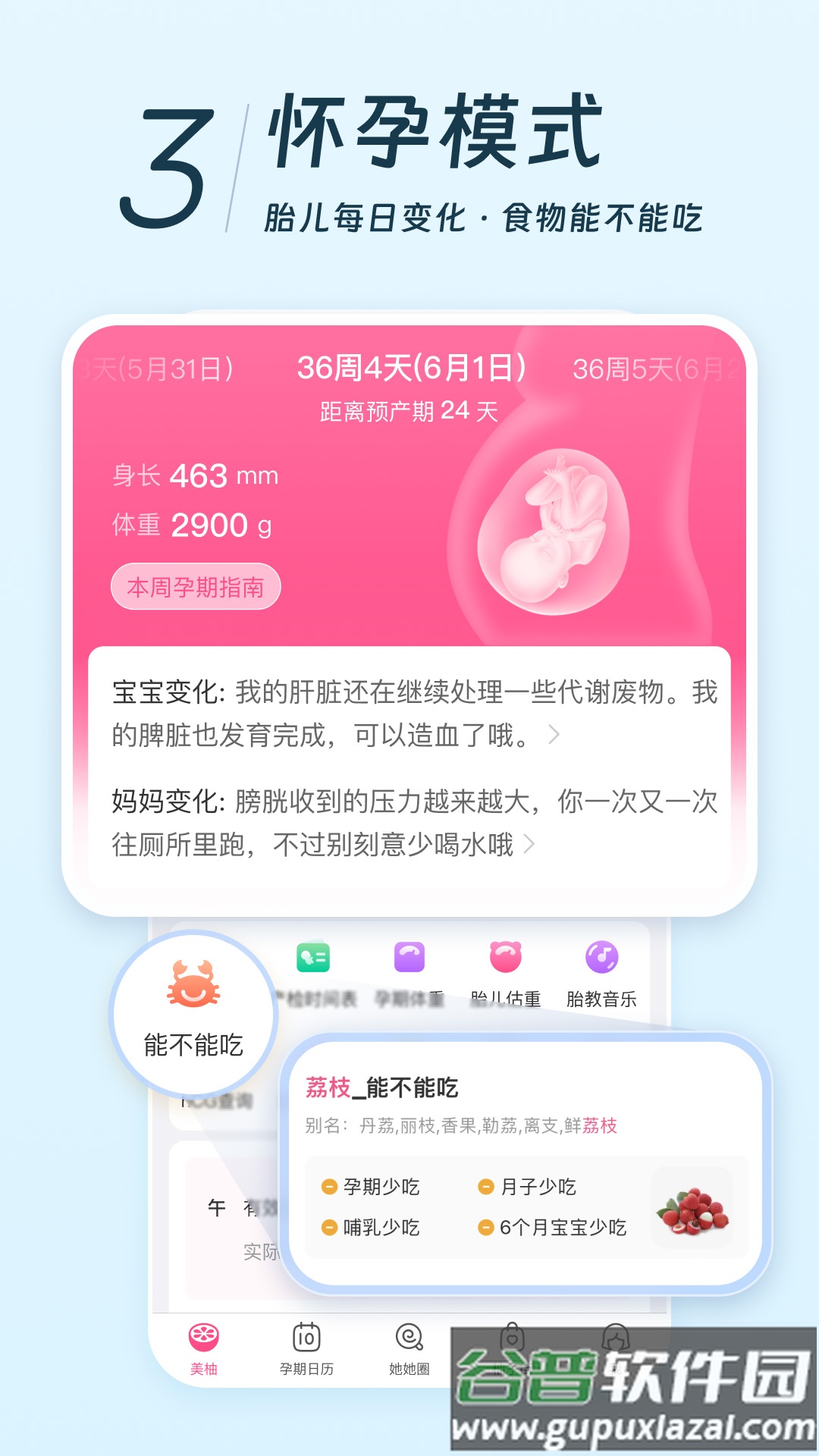 美柚备孕app截图4