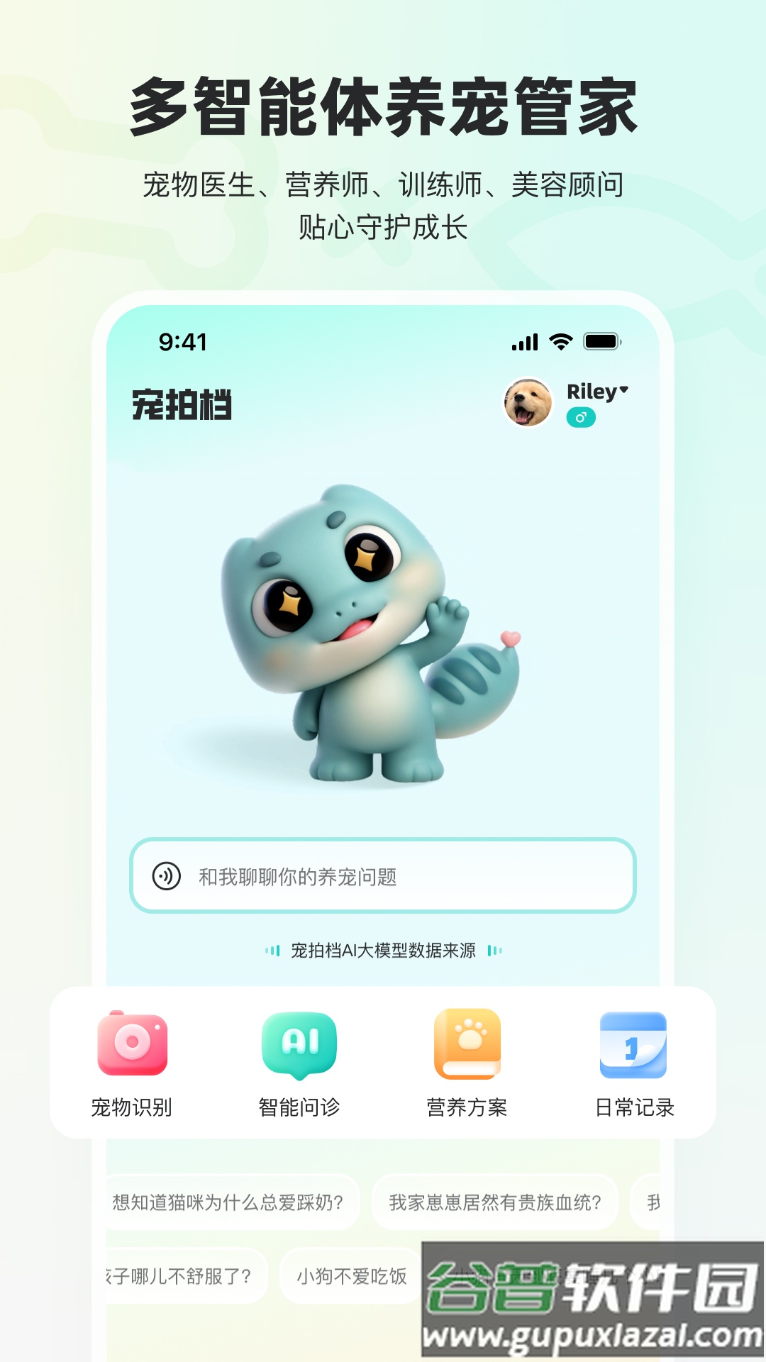 宠拍档app
