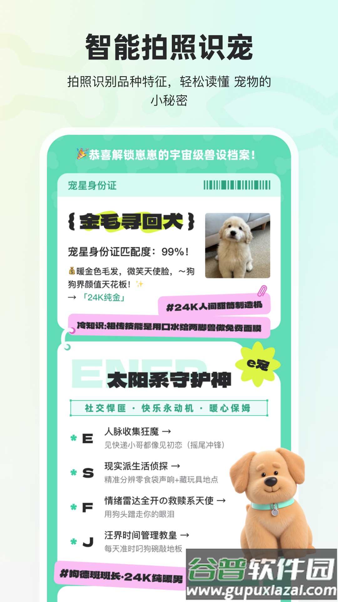 宠拍档app截图3