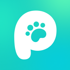 宠拍档appv1.0.1