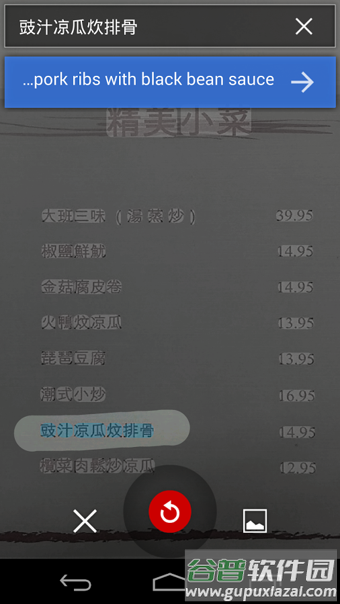 全屏翻译软件app截图4