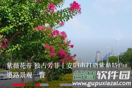 安阳融媒app安卓版