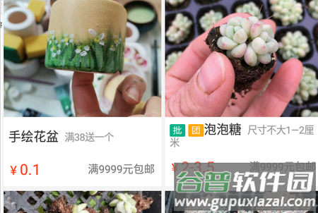 吾花肉