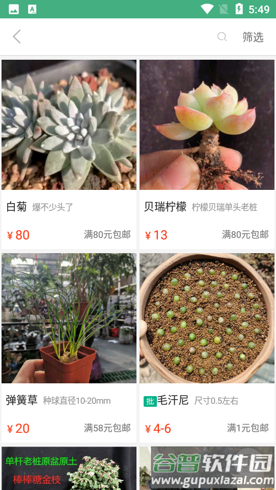 吾花肉截图4