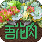 吾花肉v安卓V1.4.0手机最新版