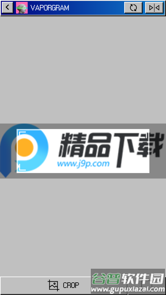 蒸汽波相机Vaporgram Pro免费版截图1