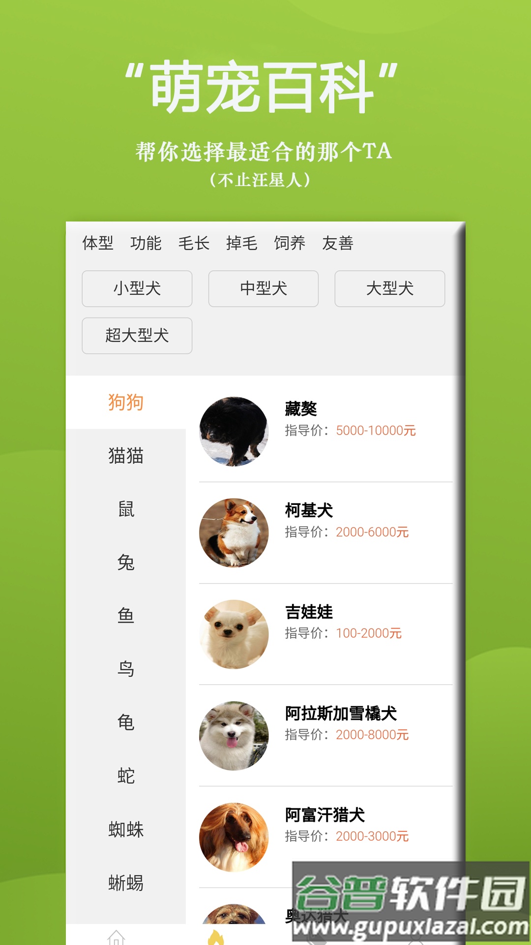 狗狗Bi商城app