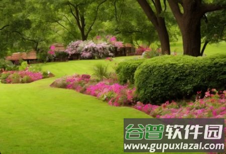 like2d绘画软件官方版