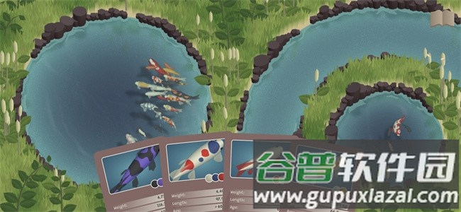 锦鲤农场安卓版(Koi Farm)截图3