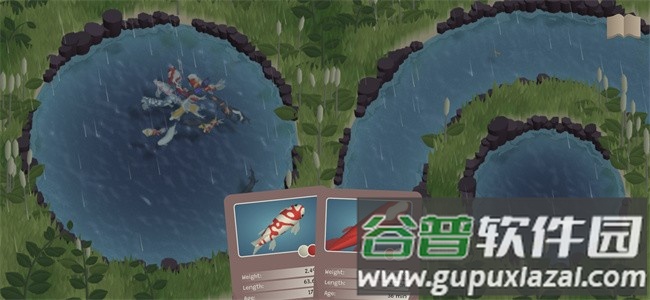 锦鲤农场安卓版(Koi Farm)截图4