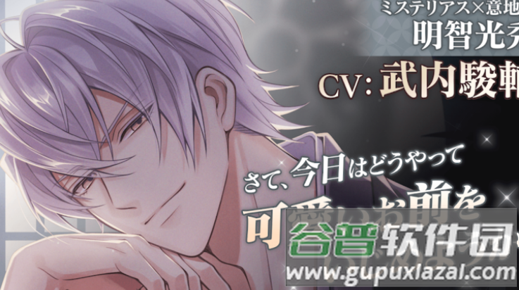 帅哥战国跨越时空的恋爱游戏(帅哥战国：跨越时空的恋爱日服)截图1