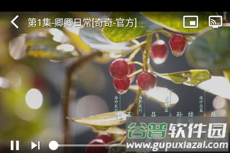 喵喵影视会员解锁版