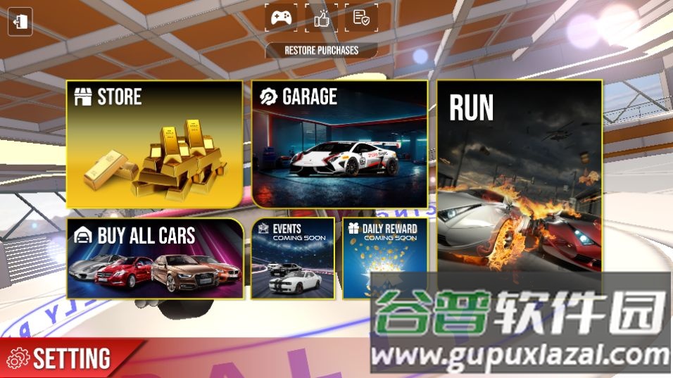 拉力赛车纳斯卡游戏无限金币截图5