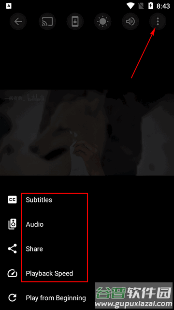 SX Player全格式播放器