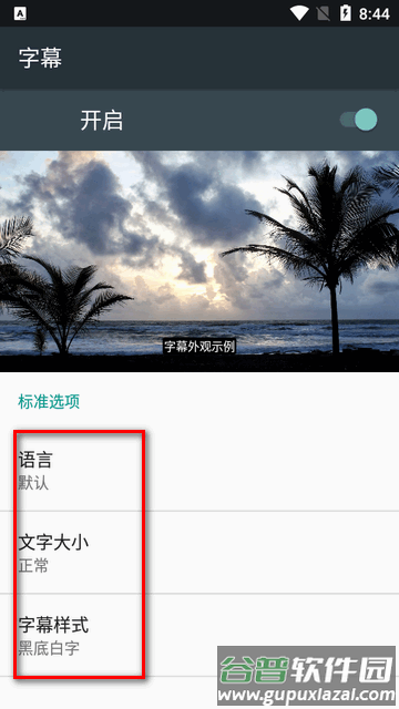 SX Player全格式播放器