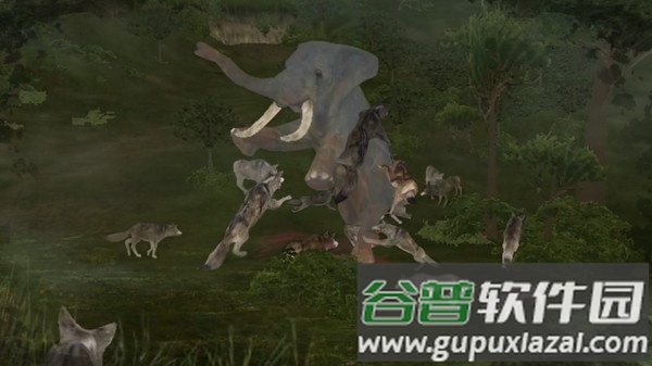 野生动物丛林法则完整版截图2