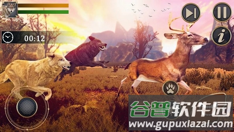 野狼动物模拟器官方版截图3