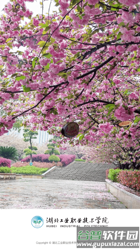 湖工职院app下载截图2