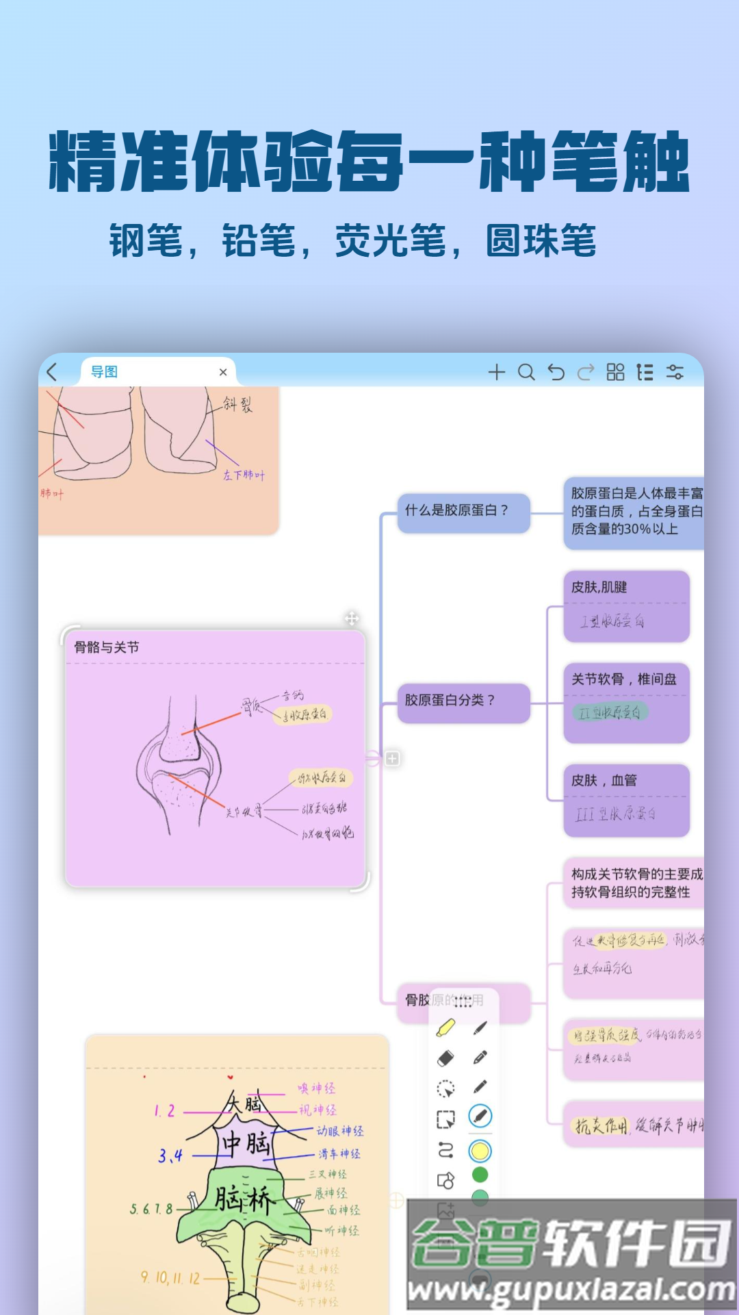 mindhive思维导图下载截图4